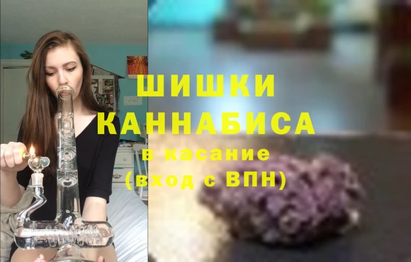 сатива Волосово