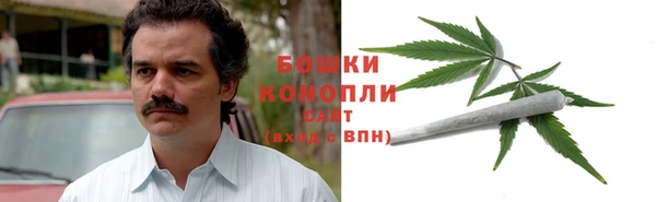 сатива Волосово