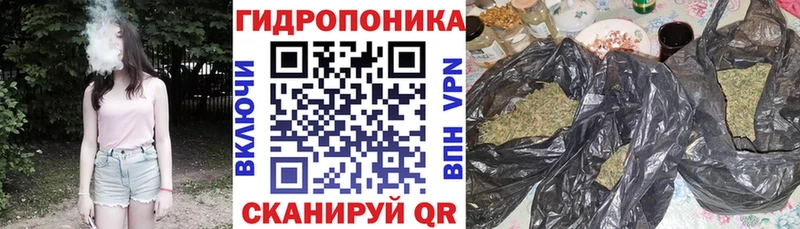 Бошки Шишки AK-47  Альметьевск 